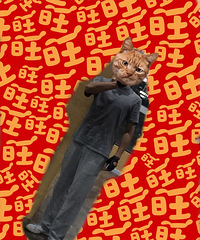 ���������Ĵ�����92��GG ������