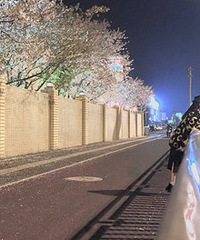 �����Ĺ�·��ҹӣ