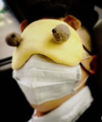 ���������Ĵ���������������