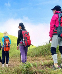 ȥ���Ĵ��书ɽ ����ȥͽ����