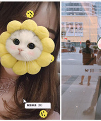 94�����MM ����15W+ ��˫��Ƥ