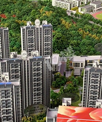 ���Ĳɹ⣡�򶫱��׻���������...