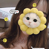 94�����MM ��˫��Ƥ