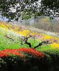 �����ˣ�ϲ����������ɫ�Ĵ���