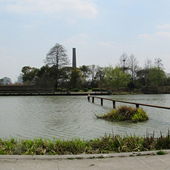 ������Ƭ��ƴ�Ĺ�԰