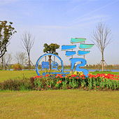 ���ʺϷŷ�������԰