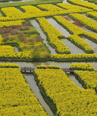 ������һ��Ƭ���˻������Ͳ˻�