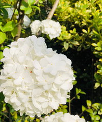 ����һ����