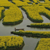 ��������Ͳ˻�