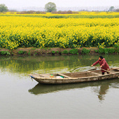 �˻�����һ����