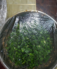 88��MM ��ҵ��λ���� ��170+����һ��