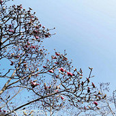 ��֪��ʲô�����ܺÿ�