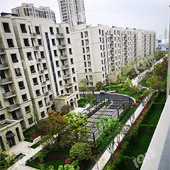 ��Խѧ�������շ���