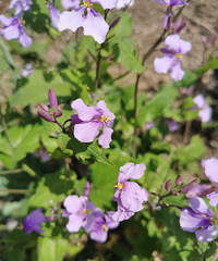 ����֮�� ��԰������Ѱ�Ҵ����ķҷ���