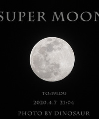 �ĵĳ��������͸����