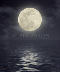 �ĵĳ��������͸����