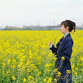 ����һƬ�Ͳ˻���