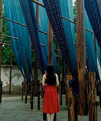 95��MM �ɾ��ɶ� �����ۺϵ�