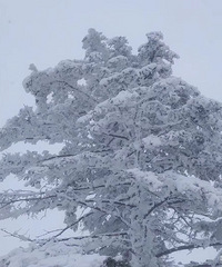 ���ҵ������ļ���29��GG ����174 �Ը����