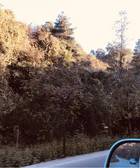 ���ҵ������ļ���29��GG ����174 �Ը����