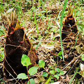 ����һ���������Ϣ