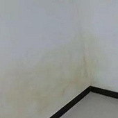 ����ǽ���� զ��