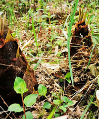 �񲻴����Լݰ�������һ���������Ϣ