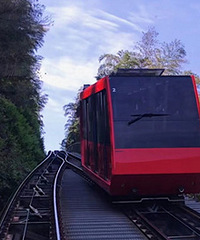 �ͽ����ܱ��Լ��� �������ܻ�ĵع�