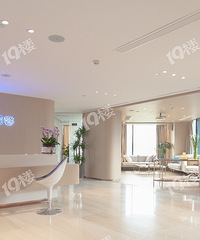 ֪��Ƥ�����ݿ�ר��������ﲢע�䲣����