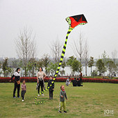 �������Ƿŷ��ݵ�����