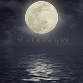 ������������