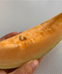 �����Żݣ�����39Ԫ2��װ ����ˬ��