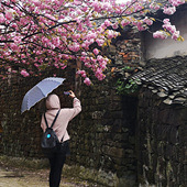 ����ɽ��ӣ��̫����