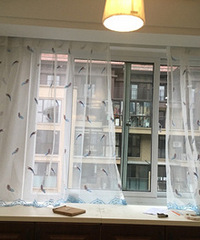 �����������ë�����ɴ�������