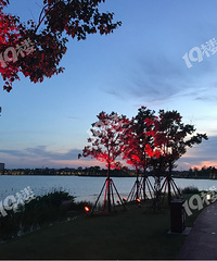 �������֮Ե����һ��С�׵���֮��