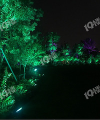 �������֮Ե����һ��С�׵���֮��