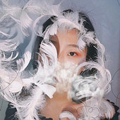 24��MM�������