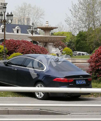 ������E�����̻���ƺ��ͣ������