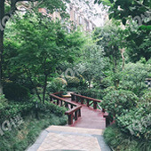 С�����̻�������