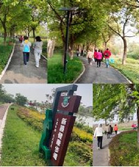 �����̵����ŷ����� �������оٰ��̵����߻