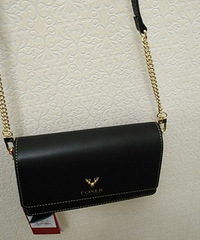 С�ɵĽ��������䴺��