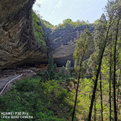 �Լݴ����ɽ