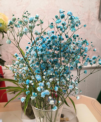 ���������Ĺ����Ҫ�Ҹ���������������