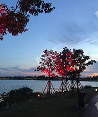 ����֮�ã�����תת ���������������