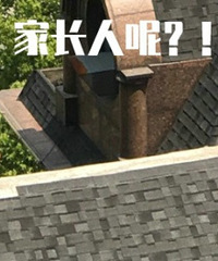 �����Ļţ���Ҳ̫Σ���˰ɡ�