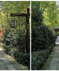 95��MM �������� ��90�����Ⱞ�˶�����