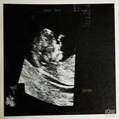 ��������һ����