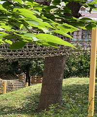 ������ˮ��԰�� ����Ȼ�ġ��׶�԰��