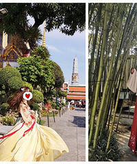 94��ƽ������MM �Ƕ�Ұ���������