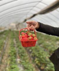 81������������